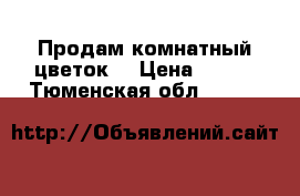 Продам комнатный цветок. › Цена ­ 250 - Тюменская обл.  »    